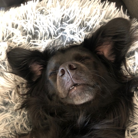 Meet your Posher, Natalia - Picture 5 of 5